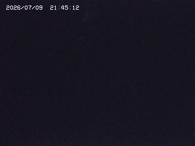 取得できませんでした