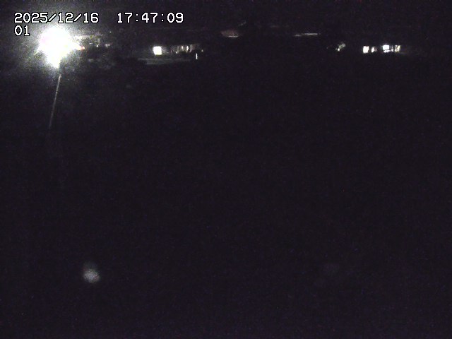 取得できませんでした