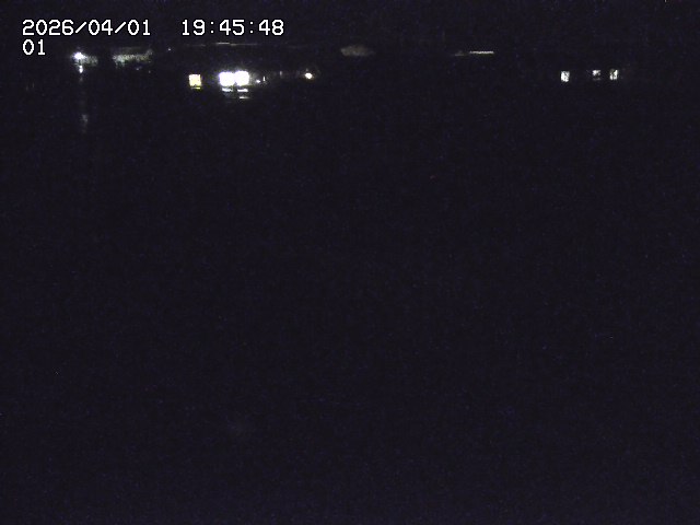 取得できませんでした