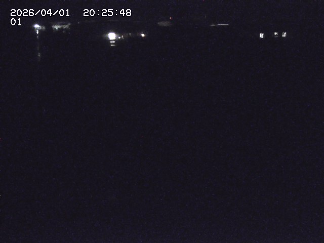 取得できませんでした