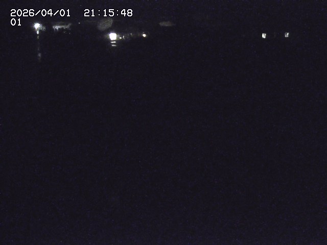 取得できませんでした