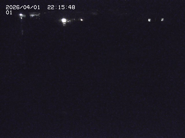 取得できませんでした