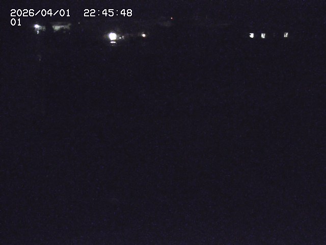 取得できませんでした