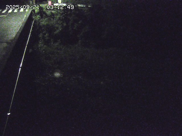 取得できませんでした