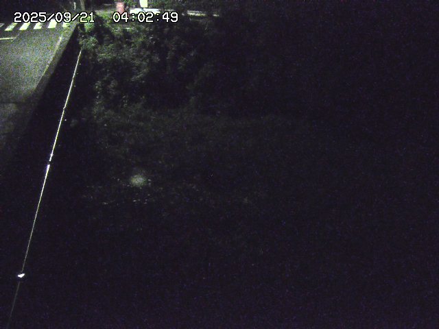 取得できませんでした