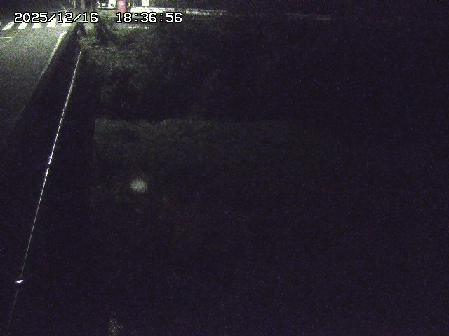 取得できませんでした