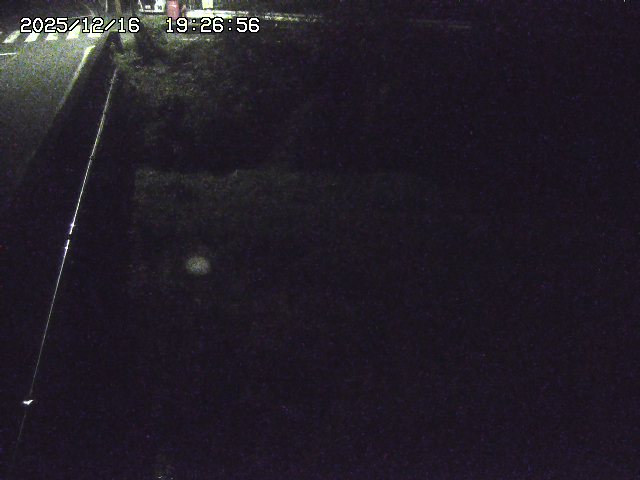 取得できませんでした