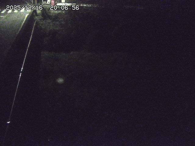 取得できませんでした