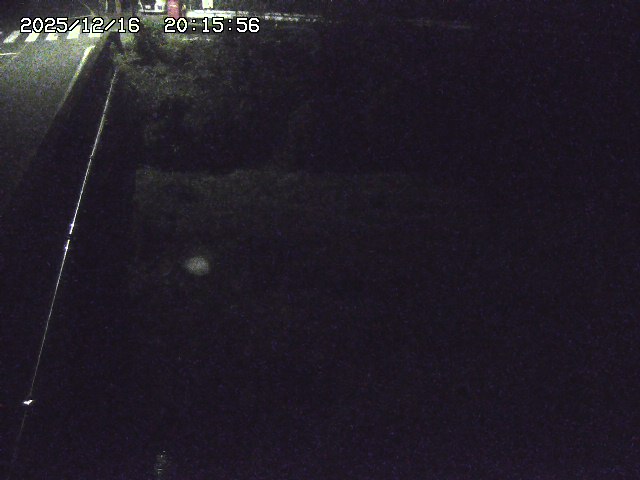 取得できませんでした