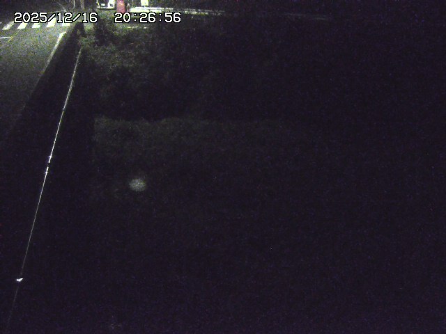 取得できませんでした