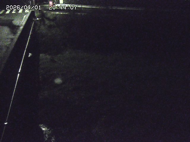 取得できませんでした