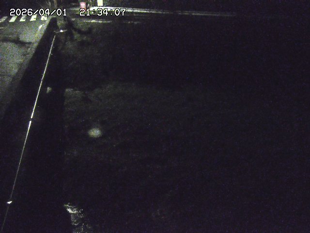 取得できませんでした