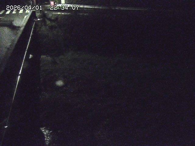 取得できませんでした