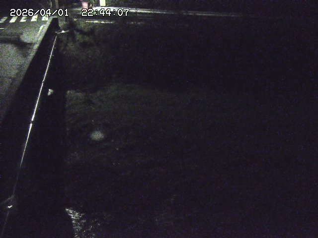 取得できませんでした