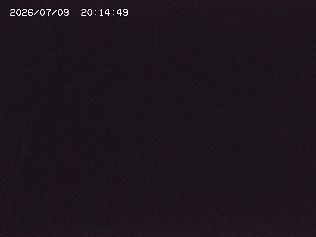 取得できませんでした