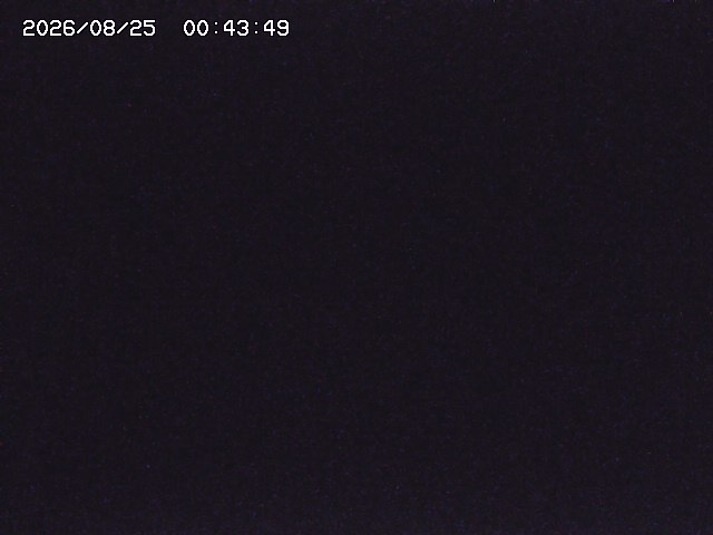 取得できませんでした