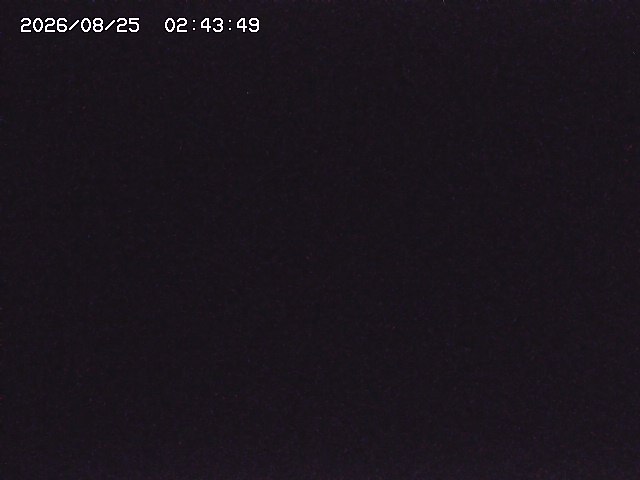 取得できませんでした