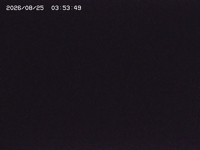 取得できませんでした
