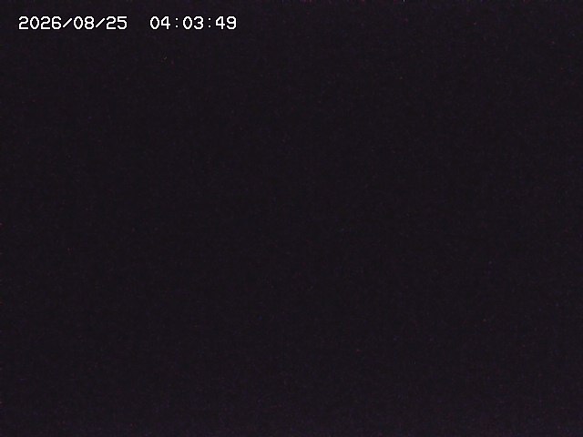 取得できませんでした