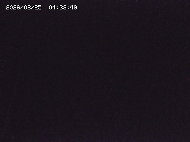 取得できませんでした