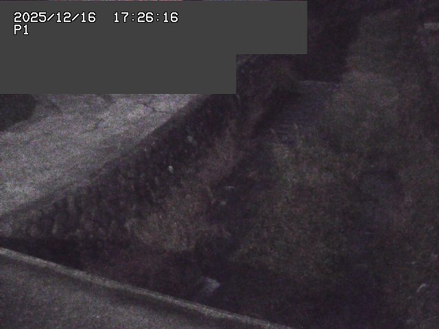 取得できませんでした