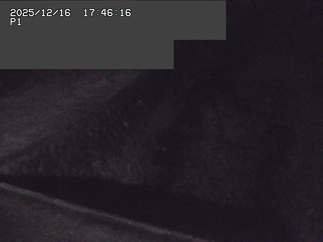 取得できませんでした