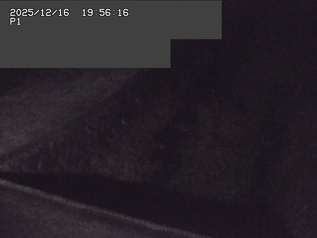 取得できませんでした