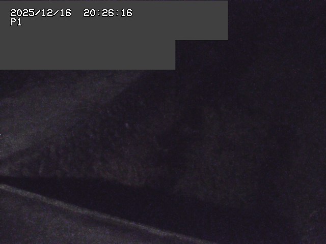 取得できませんでした