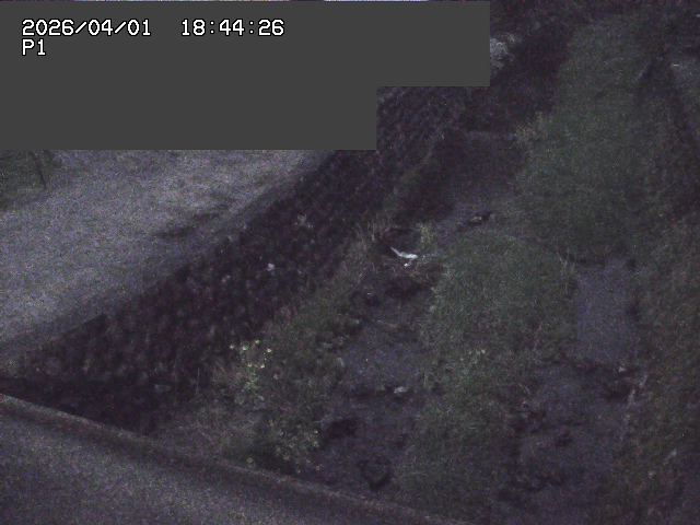 取得できませんでした