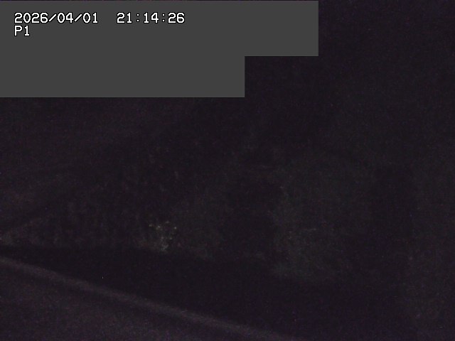 取得できませんでした