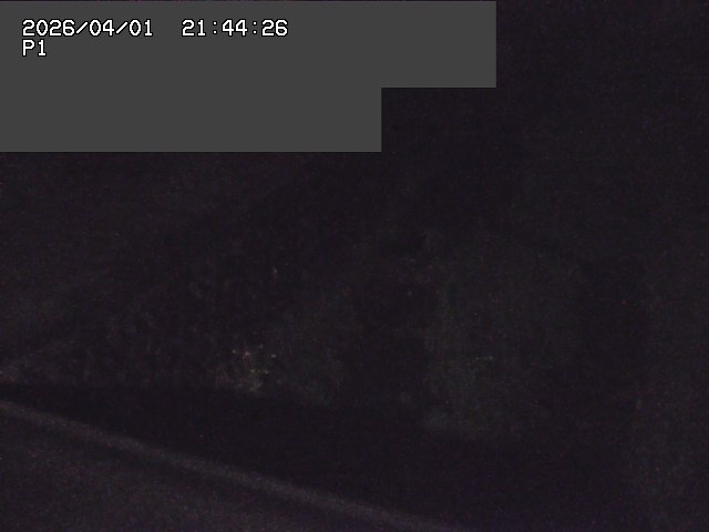 取得できませんでした