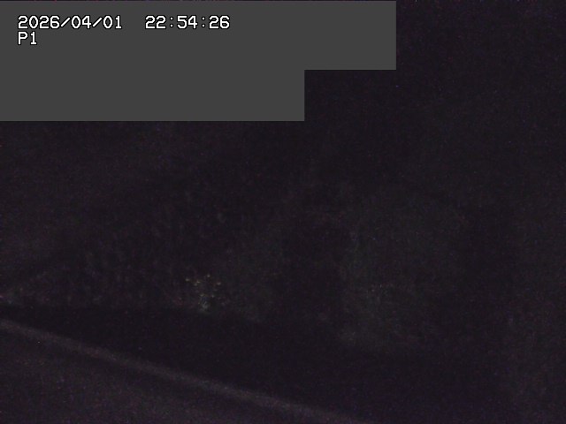 取得できませんでした