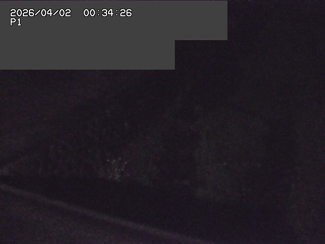 取得できませんでした