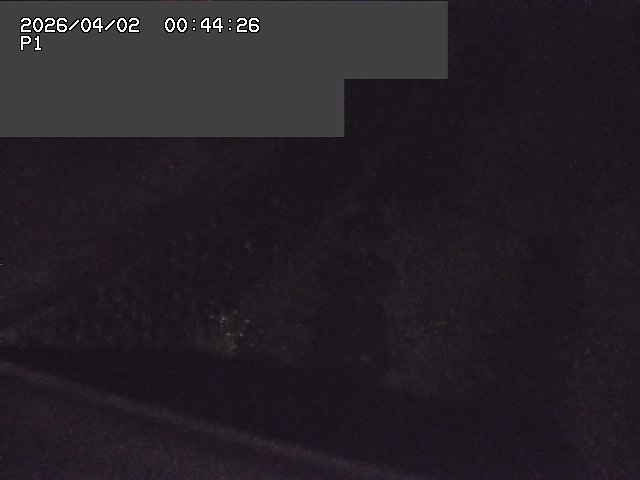 取得できませんでした