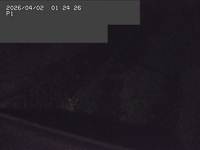 取得できませんでした