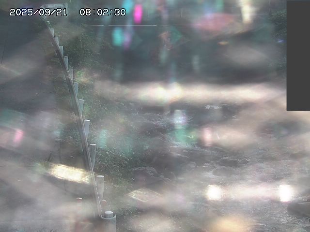 取得できませんでした