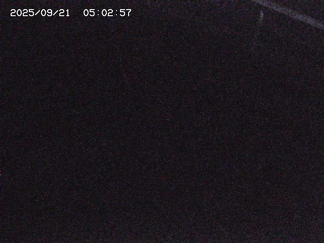 取得できませんでした