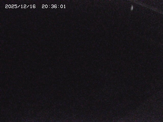 取得できませんでした