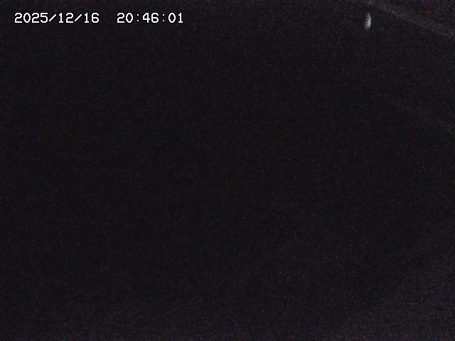 取得できませんでした