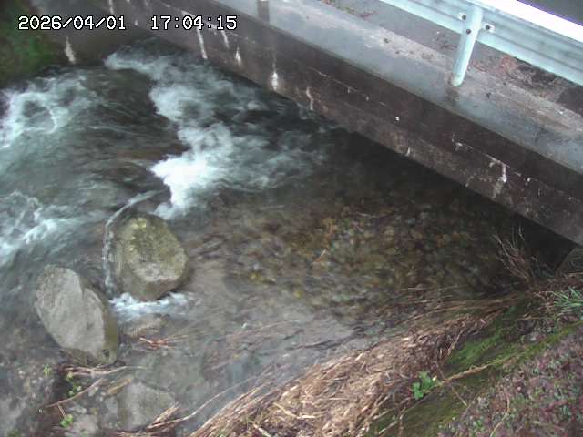 取得できませんでした