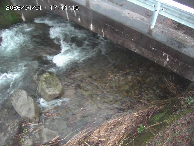 取得できませんでした