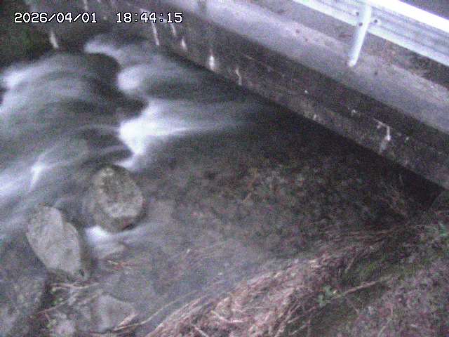 取得できませんでした