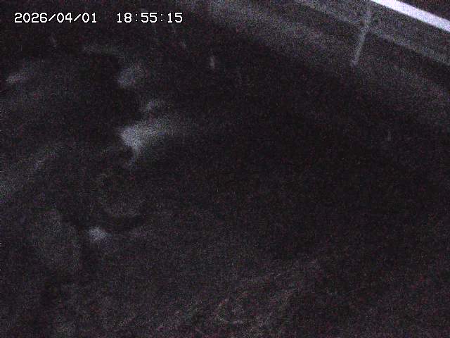 取得できませんでした