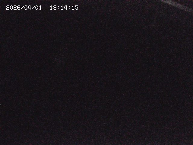 取得できませんでした