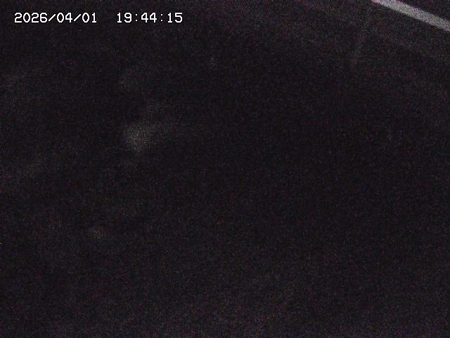 取得できませんでした