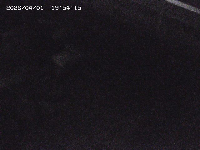 取得できませんでした