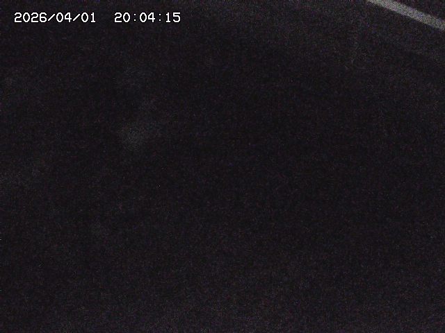 取得できませんでした