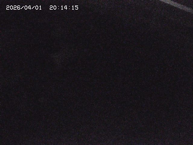 取得できませんでした