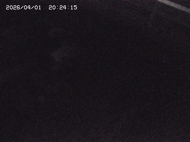 取得できませんでした