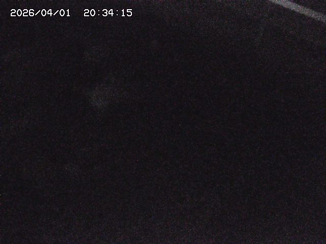 取得できませんでした